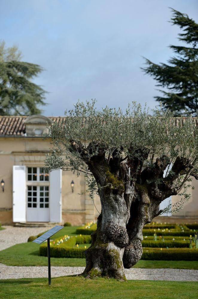 Chateau Fombrauge Saint-Christophe-des-Bardes Eksteriør bilde